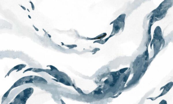 Unfold