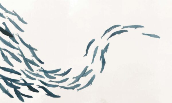 From Hands