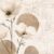 Love in a mist
