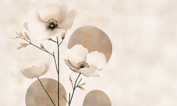 Love in a mist