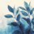 Chickweed